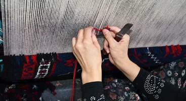 Area Rug Restoration